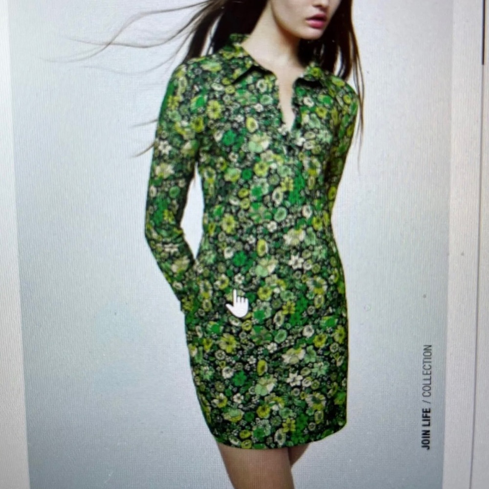 ZARA LONG SLEEVE BUTTON UP FLORAL DRESS